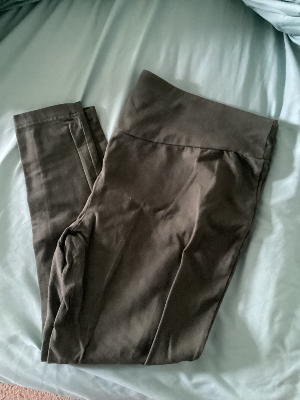 Terra & Sky Hunter Green Stretch Leggings with Printed Waist Label